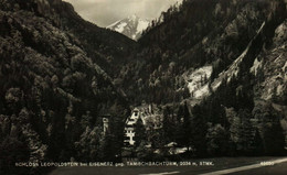 SCHLOSS LEOPOLDSTEIN EISENERZ  Geg.Tamischbachturm 2034 M - Eisenerz