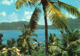 - SEYCHELLES. - Baie St. Anne, Praslin.  - Photo EDEN. - Scan Verso - - Seychelles