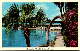 Florida Silver Springs Horseshoe Palm & Glass Bottom Boats - Silver Springs