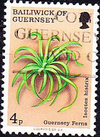 Guernsey - Brachsenkraut (Isoetes Hystrix) (MiNr: 115) 1975 - Gest Used Obl - Guernsey