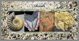 LIBERIA 2020 MNH Fossils Fossilien Fossiles M/S - OFFICIAL ISSUE - DHQ2104 - Fossils