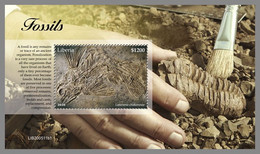 LIBERIA 2020 MNH Fossils Fossilien Fossiles S/S I - OFFICIAL ISSUE - DHQ2104 - Fossils