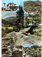 Delcampe - Bussang Ses Sites - Bussang