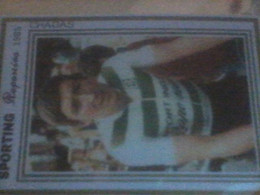 CYCLISME 1985  - WIELRENNEN- : PHOTO MARCO CHAGAS    TEAM SPORTING RAPOSEIRA ( 4 X Vainqueur Du Tour Du Portugal) - Cycling