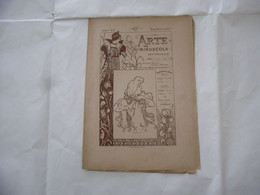 ARTE MINUSCOLA LEZIONE DI DISEGNO ARTE MODA ARALDICA LIBERTY SCRITTURA 1899-2 - Libri Antichi