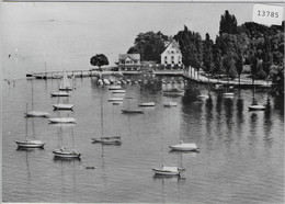 Flugaufnahme Strandhotel Schlössli Bottighofen TG - Autres & Non Classés