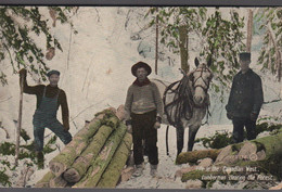 1908. CANADA. EDWARD 2 CENTS. VANCOVER B.C. OCT 6 1908. Post Card Motive: Life In The... (Michel 78) - JF413437 - Storia Postale