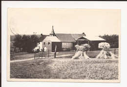 Bonlez  Ferme Du Grand Sart  1950 Recolte De Blé - Chaumont-Gistoux