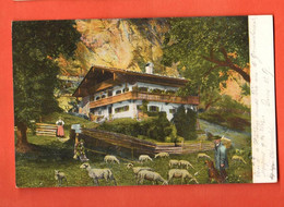 ZIB-17  Chalet Mit Schaffen. Belebt. Gelaufen Alpnach 1904 Pionier HSM 220 - Alpnach