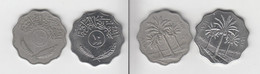 IRAK 10 Fils 1387 - 1967 + 10 Fils 1401 - 1981  Iraq - Irak