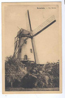 Ruiselede : De Molen  1955 - Ruiselede