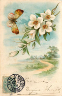 Papillon * CPA Illustrateur 1906 * Fleurs Et Paysage * Thème Papillons Butterfly - Butterflies