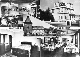 68-TURCKHEIM- MULTIVUES HÔTEL RESTAURANT MULLER - Turckheim