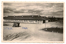 Camp D'ELSENBORN - Blocs Troupes. - Bullange - Büllingen