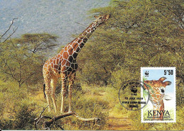 CARTE MAXIMUM - MAXICARD - MAXIMUM KARTE - MAXIMUM CARD - KENYA - GIRAFE - Giraffa Camelopardalis - Giraffes