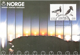 Norway Card 1984 Midnight Sun With Bird Stamps, Ice Bear In Special Cancellation Espana 84, Madrid 27.4-6.5 1984, Card - Maximum Cards & Covers