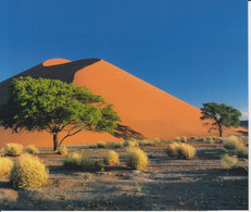 Namibia Sands Dunes Landscape - 160/136 Mm - Namibia
