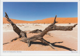 Namibia Sossusvlei Dunes Unused (ask Verso) - Namibie