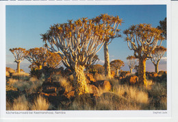 Namibia Keetmanshoop Unused (ask Verso) - Namibië