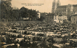 Cholet * Le Marché Aux Boeufs Du Samedi * Foire Aux Bestiaux - Cholet