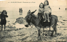 St Gilles * La Promenade à Dos D' âne Sur La Plage - Saint Gilles Croix De Vie