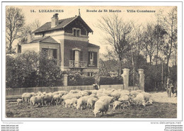 CPA 95 Luzarches Route De Saint Martin Villa Constance - Luzarches