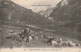 CARTE POSTALE ORIGINALE ANCIENNE : EAUX BONNES  UN BERGER SUR LA MONTAGNE VERTE  ANIMEE  PYRENEES ATLANTIQUES (64) - Allevamenti