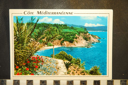 CP,  06, Calanque Et Vegetation Mediterranéenne - Autres & Non Classés