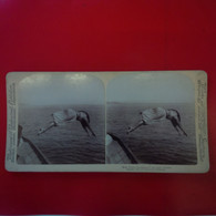 PHOTO STEREO MISS WARD GREATEST OF ALL LADY DIVERS - Fotos Estereoscópicas