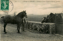 Nogent Le Rotrou * Le Chalet De L'orme * Les Poulains * élevage Au Perche * Haras Chevaux - Nogent Le Rotrou