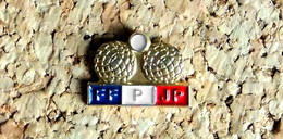 Pin's Officiel FFPJP Fédération Française De Pétanque Et De Jeu Provençal BOULES - Peint Cloisonné - Fabricant Inconnu - Pétanque