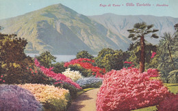 Delcampe - Italie : Lombardia : TREMEZZINA : Villa Carlotta : Lago Di Como : Giardino - Sonstige & Ohne Zuordnung