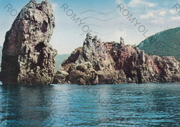 CARTOLINA ISOLA DEL GIGLIO,GROSSETO,COSTA D"ARGENTO, I FARAGLION SPIAGGIA, BARCHE A VELA, VACANZA, ESTATE,VIAGGIATA 1983 - Grosseto