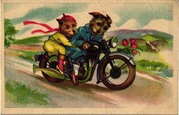 Cats Driving Motorbike, Pre 1940 - Motos