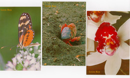 Costa Rica 6 Postal Cards Postage Paid Butterfly Crab Orquid Sloth Overprinted 240 Colones By Correos #311 - Costa Rica