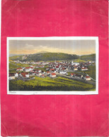 DAHN - ALLEMAGNE - CPA COLORISEE -  Vue Générale - 230121 - - Dahn