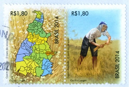 BRAZIL 2014  - FARM WORKER HARVESTING GOLDEN GRASS  (Syngonanthus Nitens) - Usati