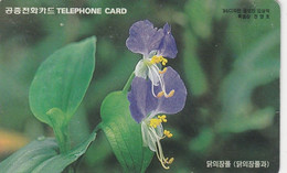 Korea, MO9708124 (W), Flower (Letter W), 2 Scans. - Corea Del Sud