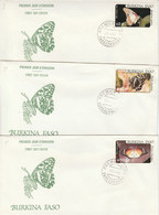 BURKINA FASO THEME ANIMAUX FAUNE PAPILLON   3 ENVELOPPES 1ER JOUR 1984 - Burkina Faso (1984-...)