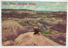 (4165) USA - Northern Arizona - Blue Mesa - Pedestal Log - Mesa
