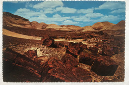 (4166) USA - Arizona - Blue Mesa - Petrified Forest - Mesa