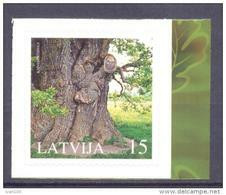 2005. Latvia, Oak Tree, 1v,  Mint/** - Lettonie