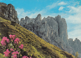 985) ELFERSPITZE Von Der Elferhütte - NEUSTIFT Im Stubaital - Tirol 1983 - Neustift Im Stubaital