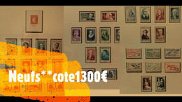France. Collection De Timbres Neufs Sans Charnières 1949/1956, Cote 1300€. - Collections