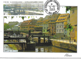 546 - FOIRE EUROPEENNE STRASBOURG 2003, Le Pont Saint-Martin, Petite France, 5-9-2003 (BAS-RHIN) - 1999-2009 Illustrated Franking Labels