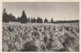 WAIMES HAUTES FAGNES  MONT RIGI  BARAQUE MICHEL - Weismes