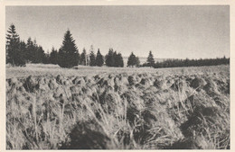 WAIMES HAUTES FAGNES  MONT RIGI  BARAQUE MICHEL - Weismes