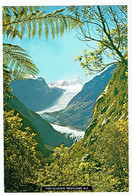 Neuseeland, Fox Glacier, Westland, New Zealand - Nueva Zelanda