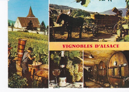 CPSM Multi-vues 1972 Les Vignobles D'Alsace - Vignes