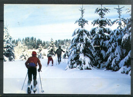 Delcampe - Course Dans La Neige Fraiche - Wintersport